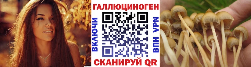 MEGA ССЫЛКА  Лесной  Псилоцибиновые грибы GOLDEN TEACHER  продажа наркотиков 