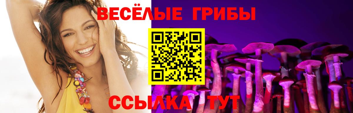 Лесной  где продают   Вход с VPN  Галлюциногенные грибы мухоморы 